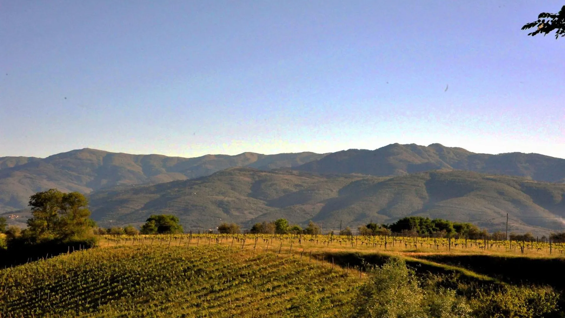 Farm stay Agriturismo Il Pino - Bioagricoltura Monticello Italy