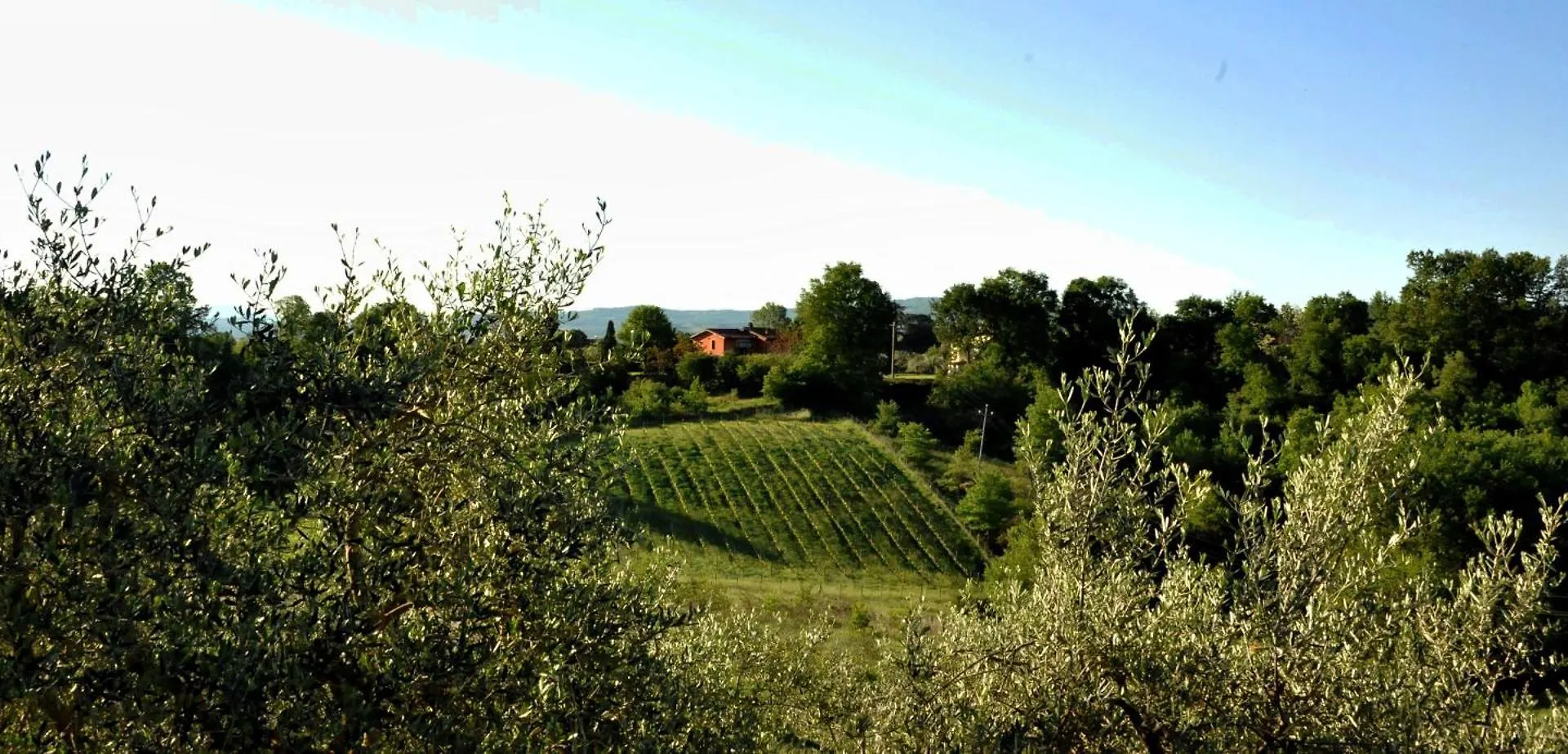 Agriturismo Il Pino - Bioagricoltura Monticello Farm stay