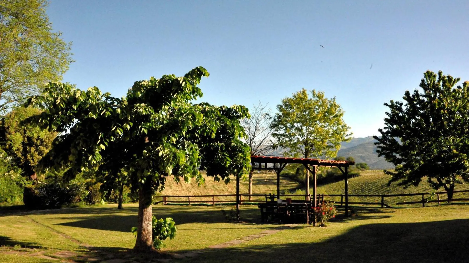 Agriturismo Il Pino - Bioagricoltura Monticello Italy