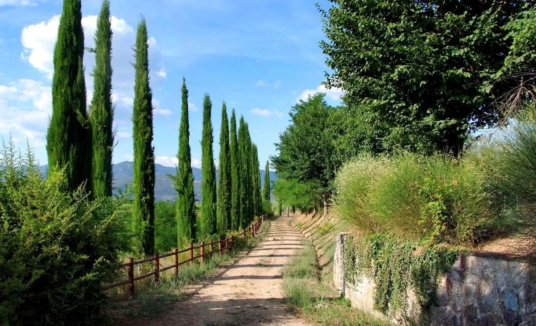 Agriturismo Il Pino - Bioagricoltura Monticello 0*,  Italy