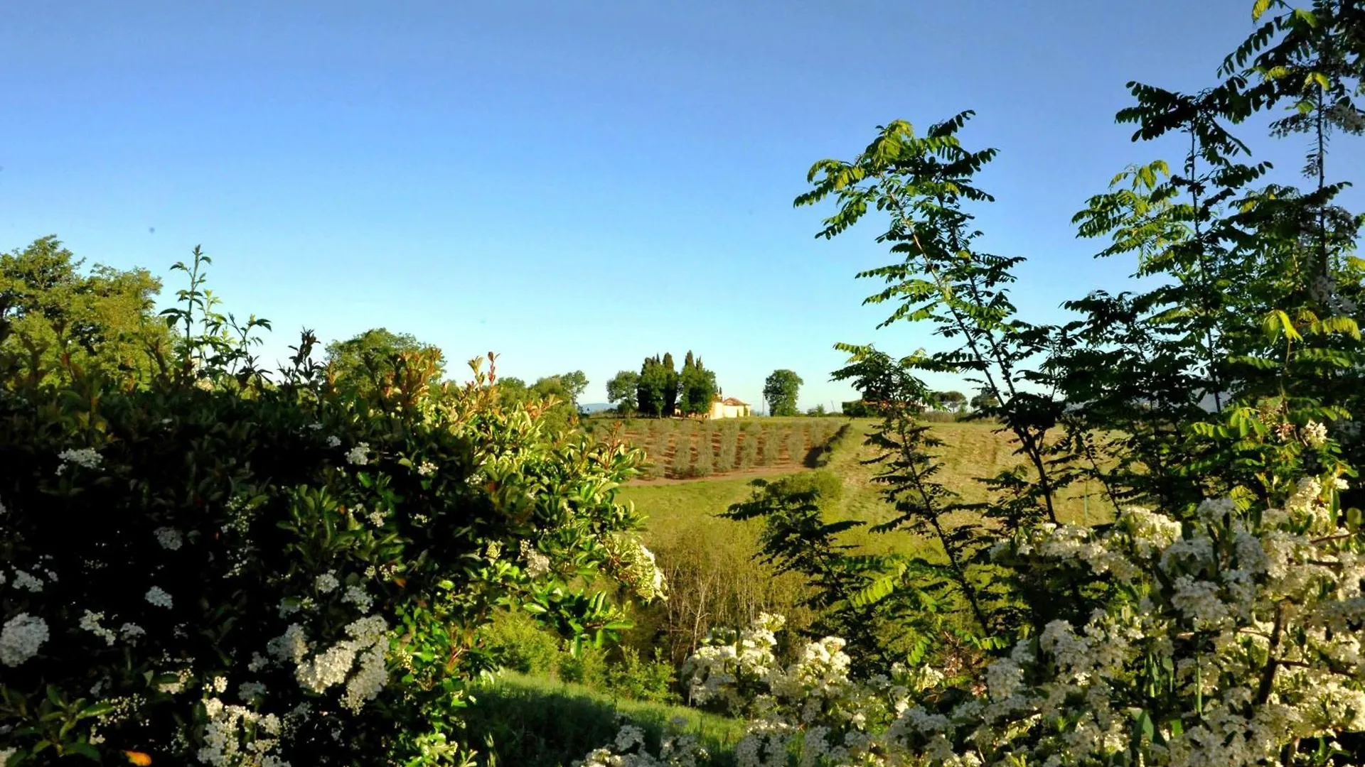 Agriturismo Il Pino - Bioagricoltura Monticello Italy