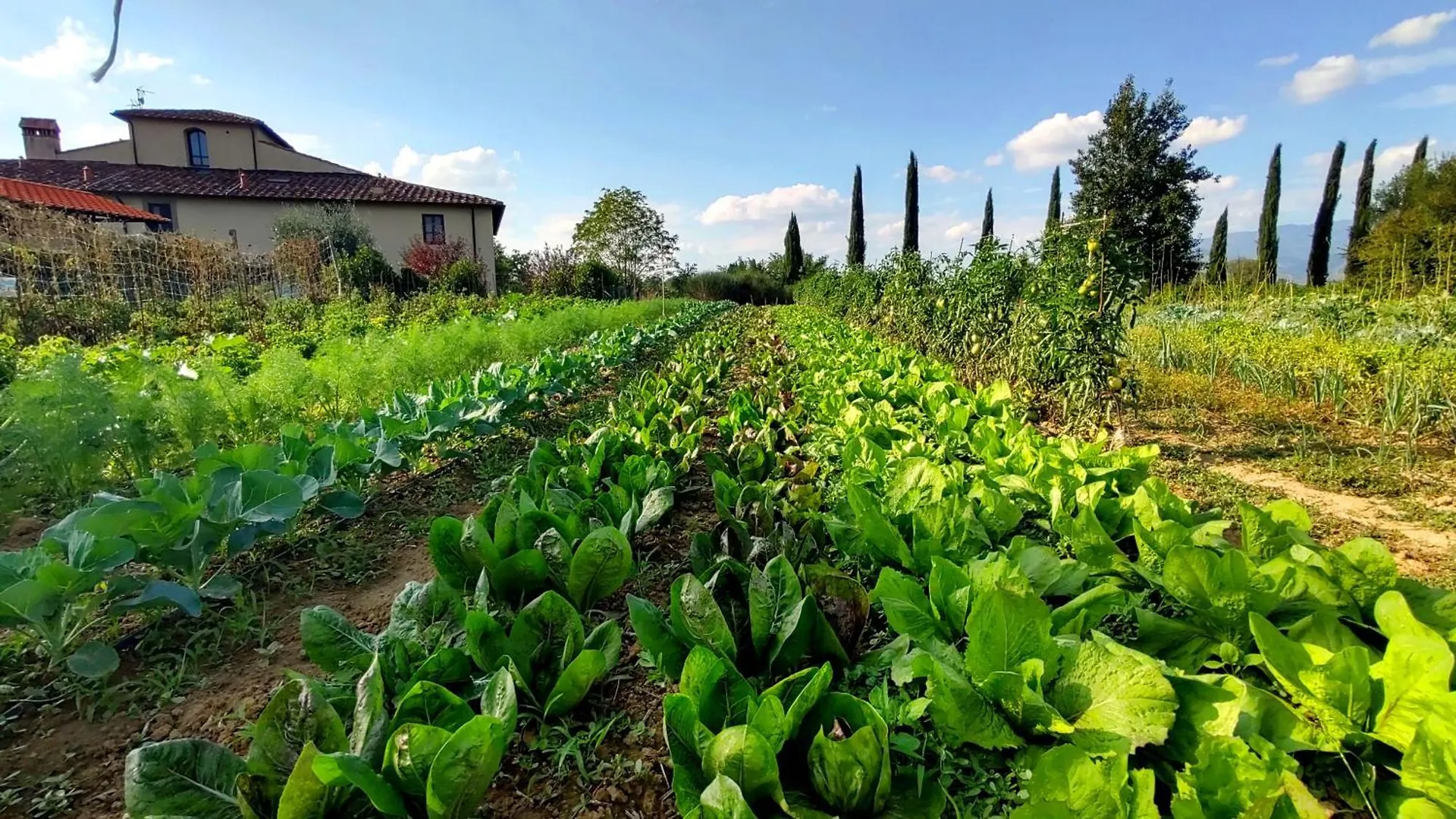 Alloggio per agriturismo Agriturismo Il Pino - Bioagricoltura Monticello