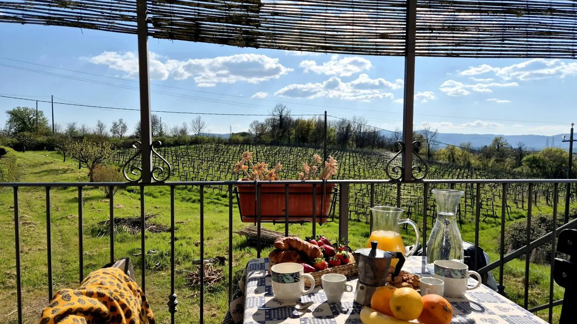 Agriturismo Il Pino - Bioagricoltura Monticello