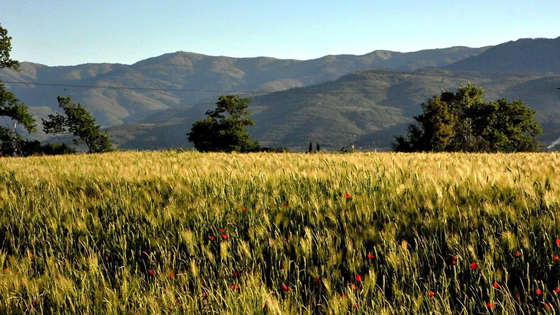 Agriturismo Il Pino - Bioagricoltura Monticello Italy